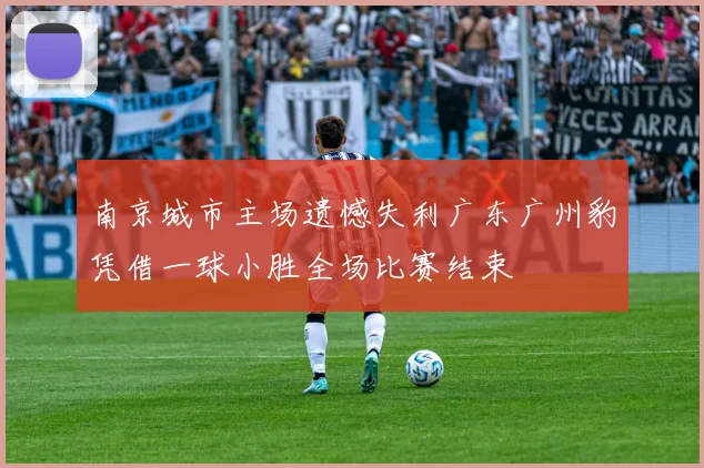 南京城市主场遗憾失利广东广州豹凭借一球小胜全场比赛结束