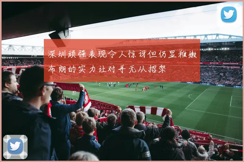 深圳顽强表现令人惊讶但仍显稚嫩布朗的实力让对手无从招架